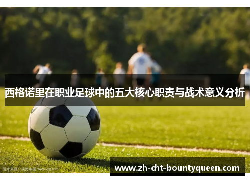 西格诺里在职业足球中的五大核心职责与战术意义分析