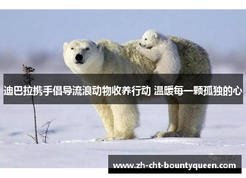 迪巴拉携手倡导流浪动物收养行动 温暖每一颗孤独的心 迪巴拉携手倡导流浪动物收养行动 温暖每一颗孤独的心